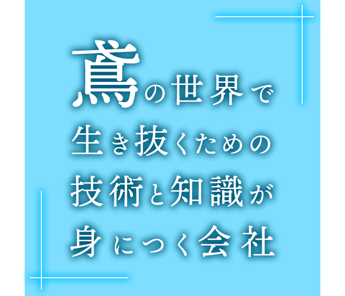 鳶の世界で生き抜くための 技術と知識が身につく会社